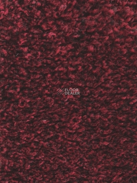 Ковролин  Bordo фото 1 | FLOORDEALER